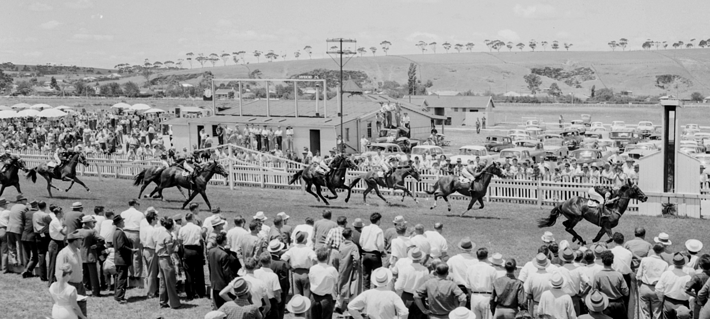 Raceday Cellars