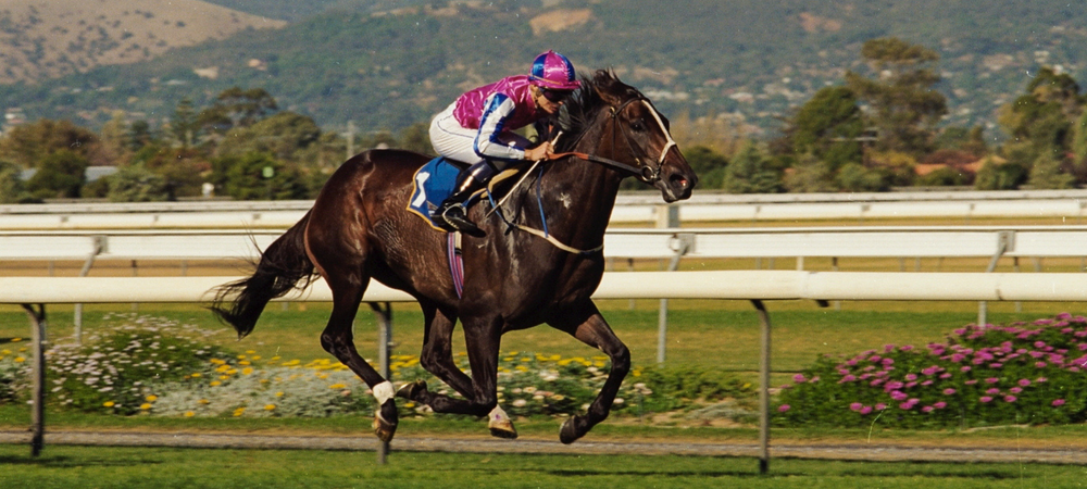 Raceday Cellars