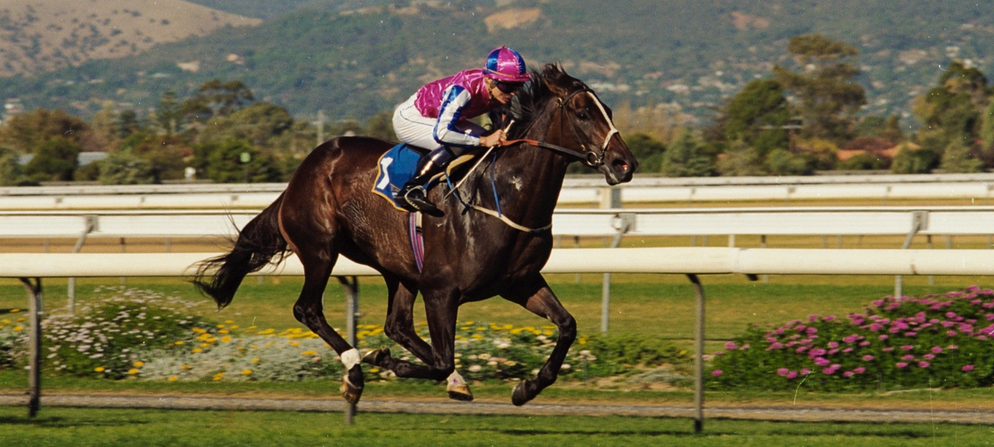 Raceday Cellars