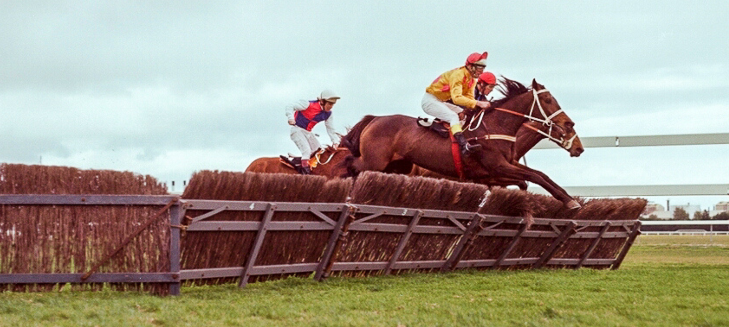 Raceday Cellars